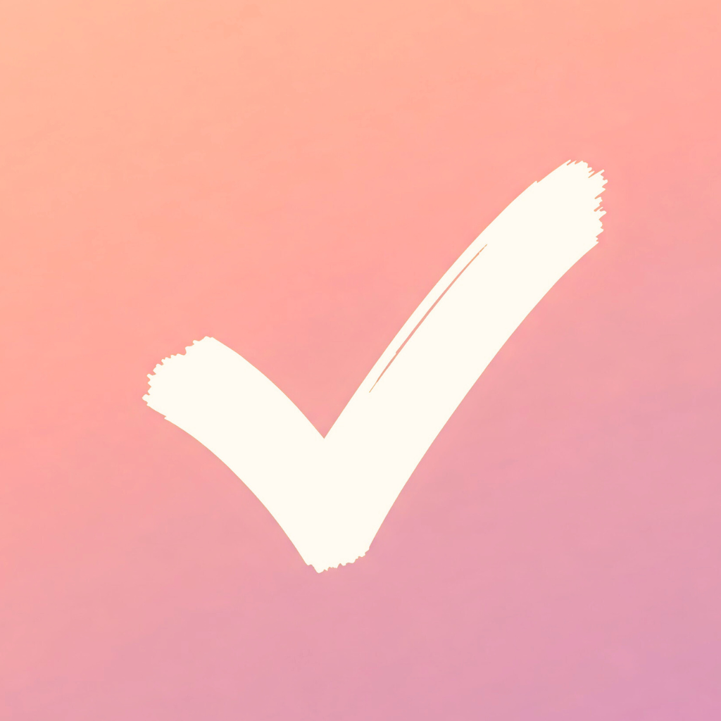 EZ Check List Icon